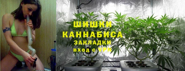spice Надым
