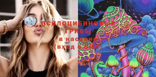 молекула духа Навашино