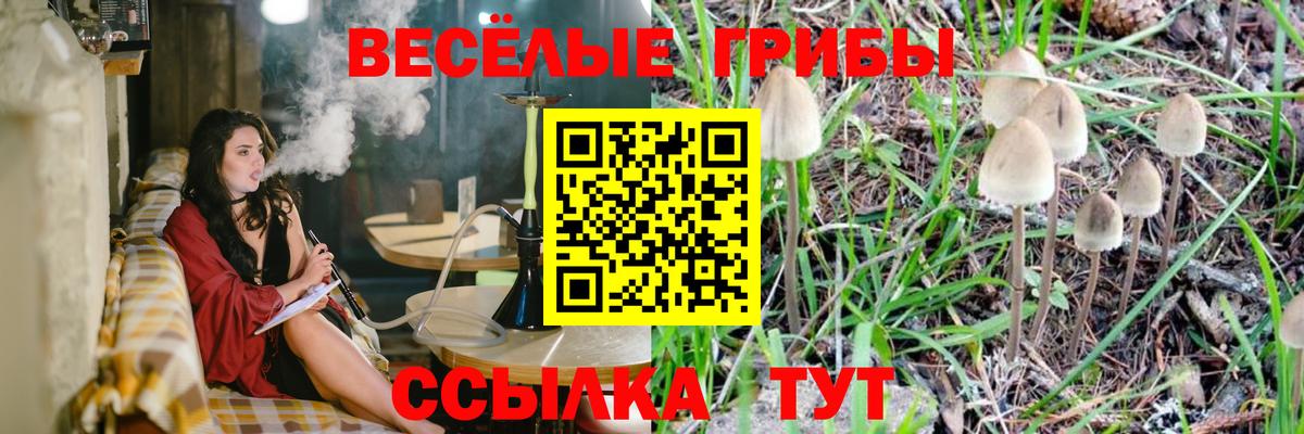 Архангельск  Галлюциногенные грибы Cubensis  Вход с VPN 